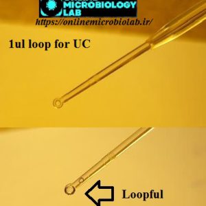 Loopful برای کشت ادرار و برخی کشت های دیگر - آزمایشگاه مجازی میکروب شناسی